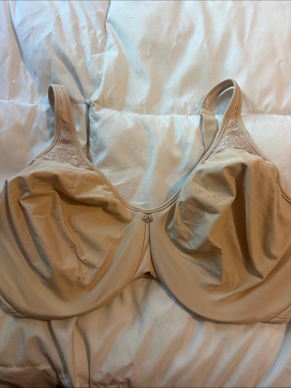 Bali Nude Full-Coverage Underwire Bra with Embroidered Straps